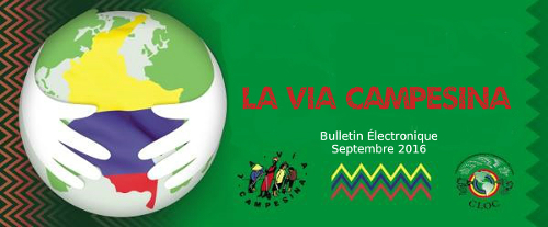 Bulletin électronique de la Via Campesina – Septembre 2016